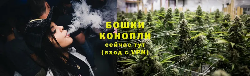 Канабис THC 21%  где купить наркоту  Сосновка 